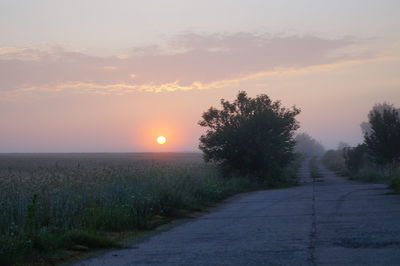 Scenic view of country road against sky during sunset