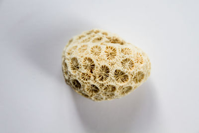 Close-up of bread on white background