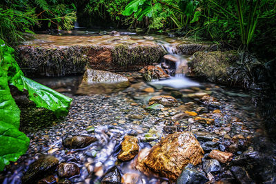 Stream flowing through rocks in forest