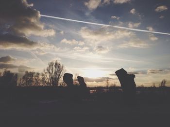 Silhouette of trees at sunset