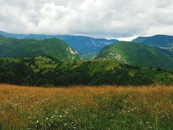 Scenic view of landscape and mountains against sky