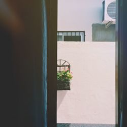 Potted plants in house