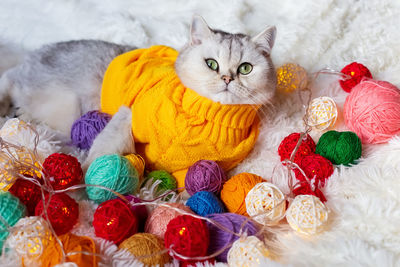 A funny white cat lies in a yellow sweater , on a fluffy blanket with colorful balls of yarn.