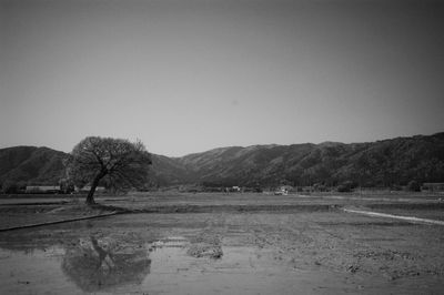 Scenic view of landscape against clear sky