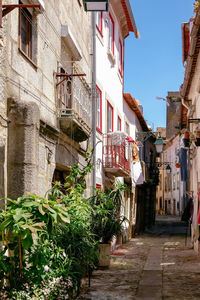 Narrow street amidst buildings in town