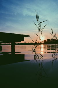 Silhouette tree by lake against sky during sunset