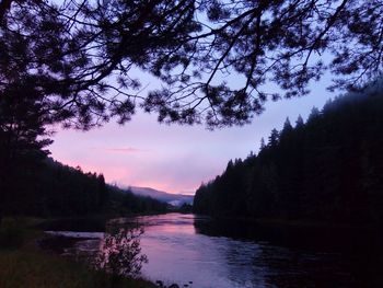 Scenic view of lake in forest against sky