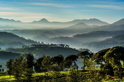 Scenic view of trees and mountains against sky