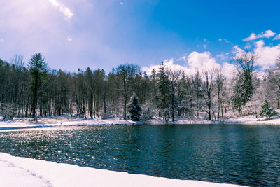 Scenic view of landscape and trees against sky