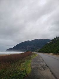 Road amidst plants against sky