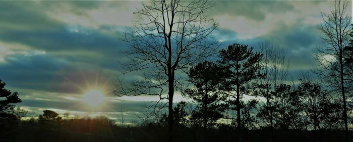 Silhouette trees against sky during sunset