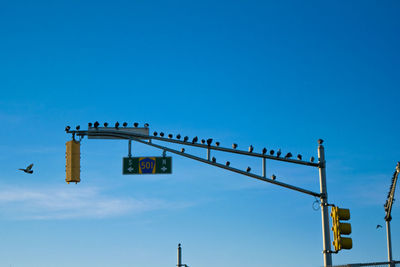 Low angle view of road signs against blue sky
