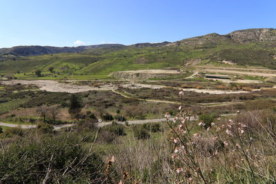 landscape