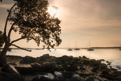 View of boats in calm sea at sunset