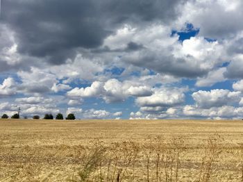 Scenic view of agricultural field against sky