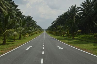 Road amidst trees against sky