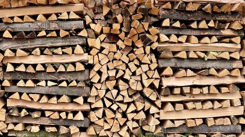 Full frame shot of wooden logs in forest