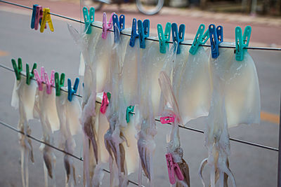 Stingrays drying on clotheslines