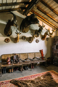 Interior of hunting house with stuffed animals hanging on wall under footwear for hunting