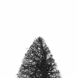 Low angle view of trees against clear sky
