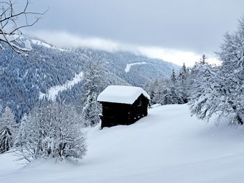 snow