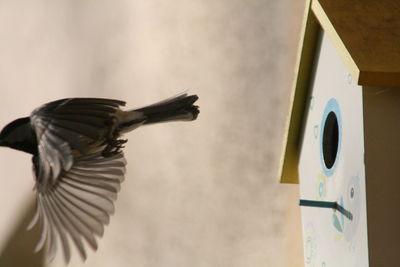 Low angle view of built structure