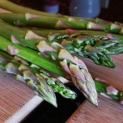 Close-up of food