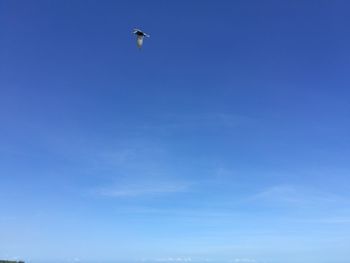 Low angle view of eagle flying against clear blue sky