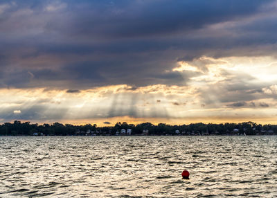 Swan floating on sea against sky during sunset