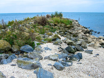 Scenic view of sea against clear blue sky