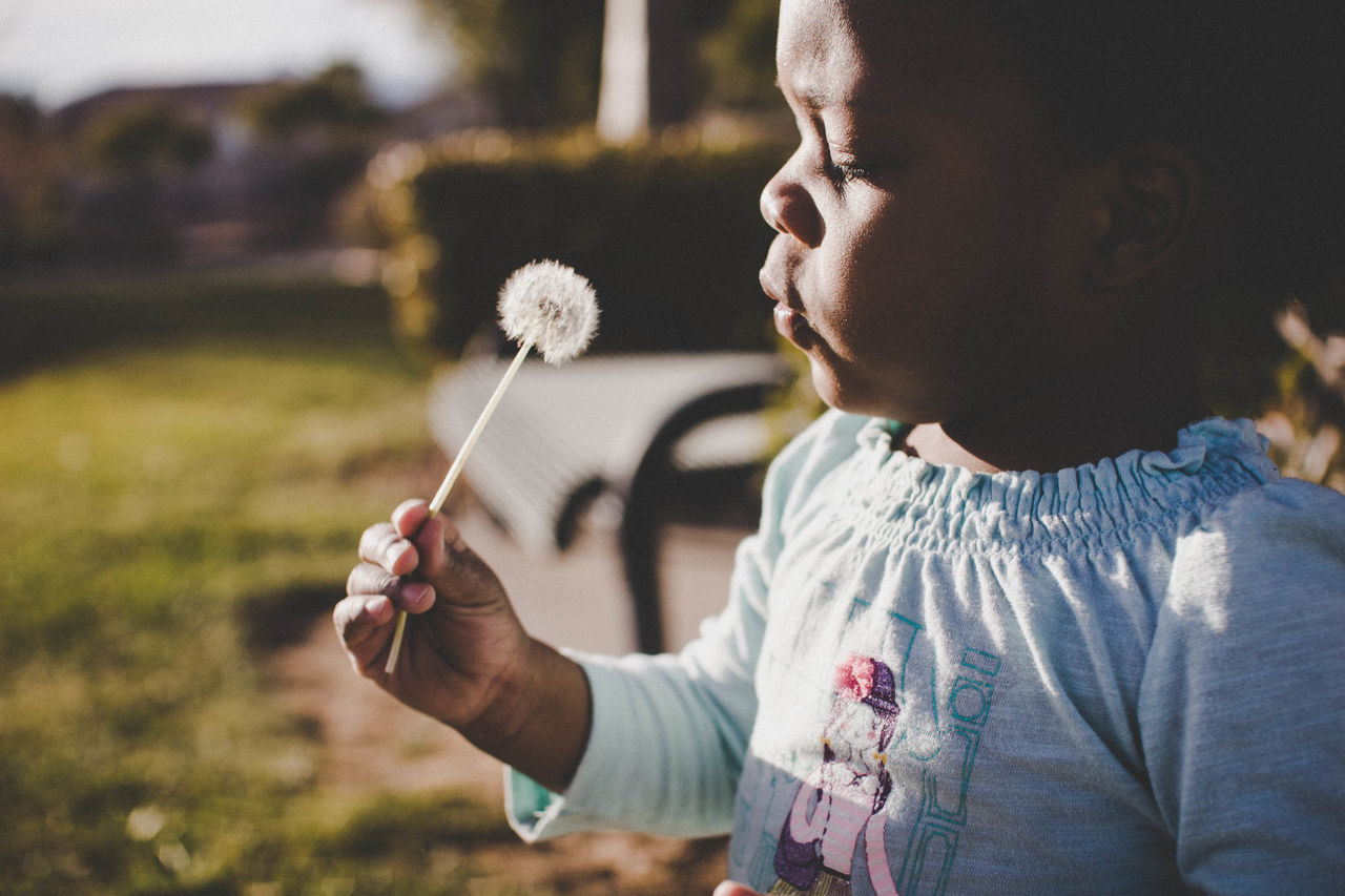 child, childhood, real people, one person, focus on foreground, leisure activity, nature, lifestyles, flower, girls, flowering plant, holding, plant, sunlight, day, innocence, females, dandelion, outdoors