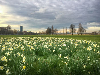 Scenic view of grassy field against cloudy sky