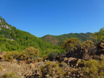 Scenic view of landscape against clear blue sky