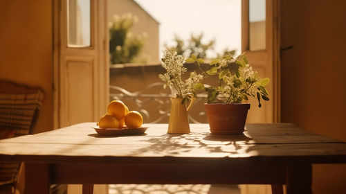 Potted plant on table at home