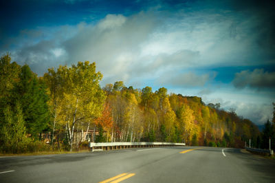 Road passing through trees