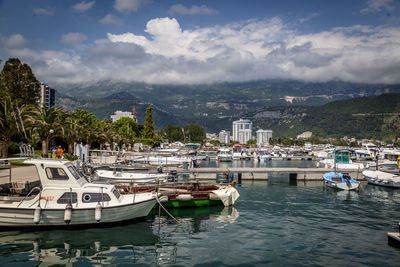 Boats moored in harbor