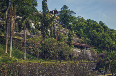 Trees on landscape against sky