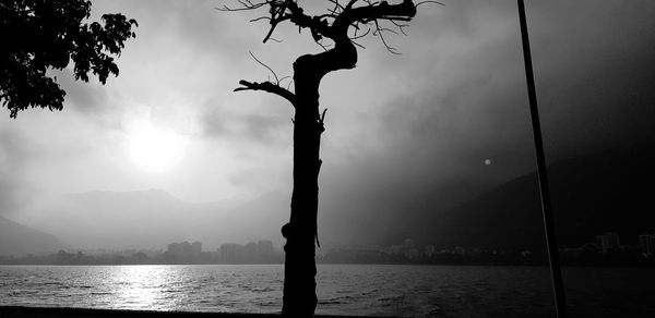 Silhouette tree by sea against sky