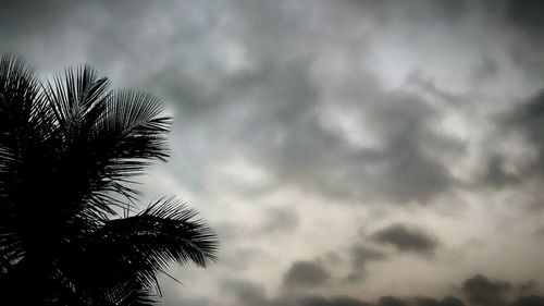 Low angle view of silhouette tree against sky