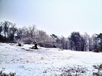 Scenic view of snow covered landscape