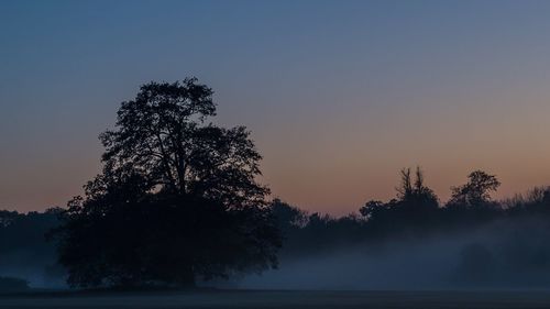 Silhouette of trees on field against sky at sunset