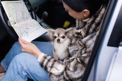 Cute chihuahua dog sitting on a girl's lap in the car
