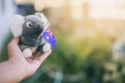 Close-up of hand holding bird