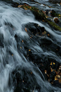 Scenic view of waterfall