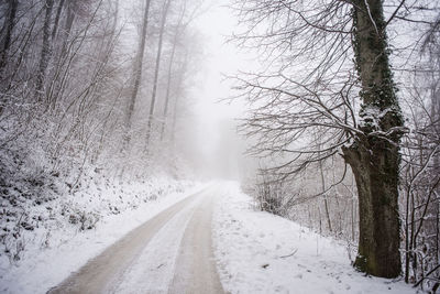 Road amidst bare trees during winter