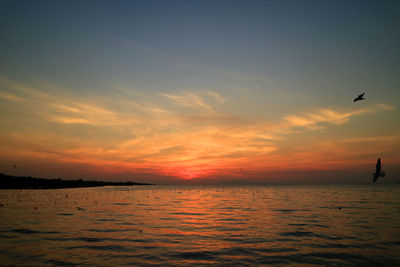 Scenic view of sea against orange sky