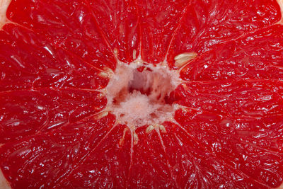 Full frame shot of red berries