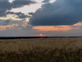 Scenic view of agricultural field against sky during sunset