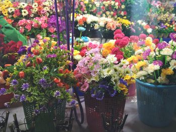 Close-up of multi colored flowers for sale