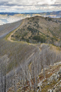 Mountain top road winding through burned trees from a wildfire